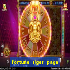 fortune tiger paga de madrugada